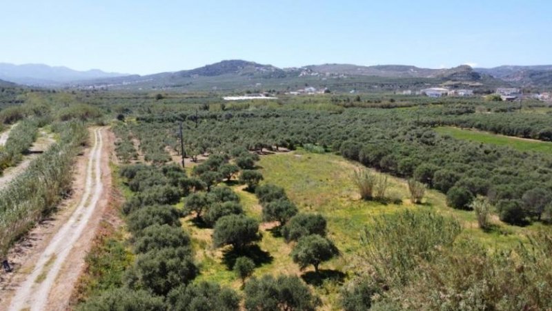 Kolymvari Kreta, Kolymvari: Grundstück nahe eines Sandstrandes zu verkaufen Grundstück kaufen